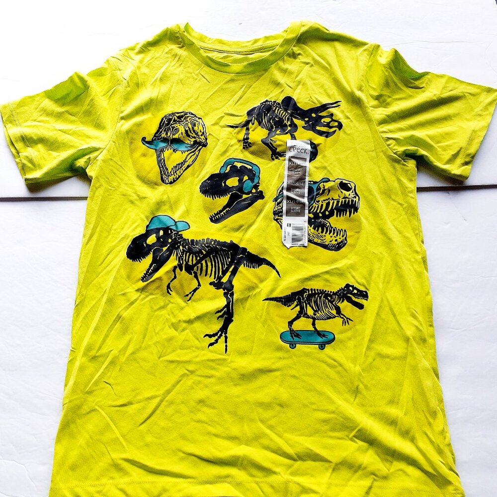 Falls Creek Boys T-Shirt Green Dinosaurs Short Sleeve XL 14-16 New